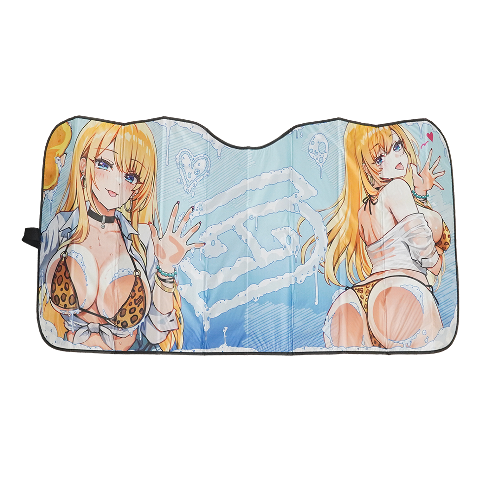 Daisy Detailing: Car Sunshade - Image 3