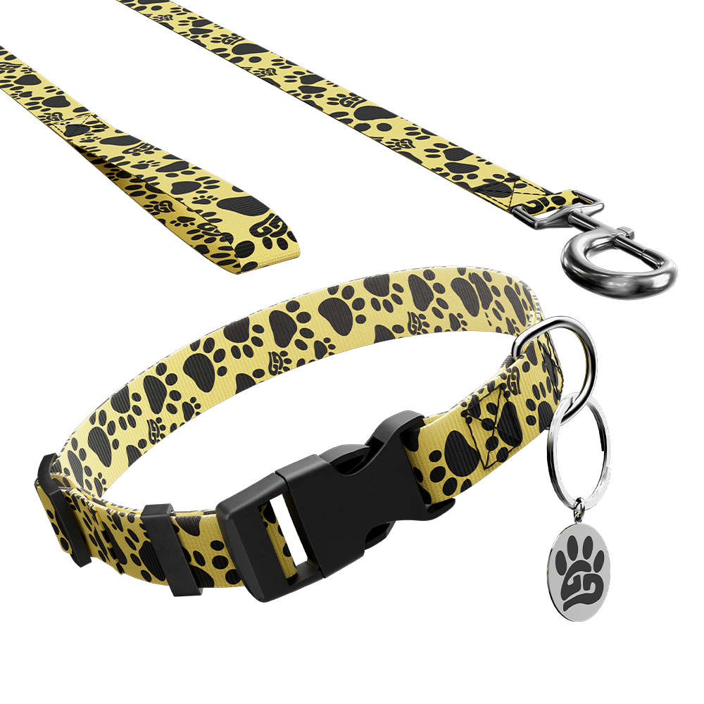 Woof: Dog Leash & Collar