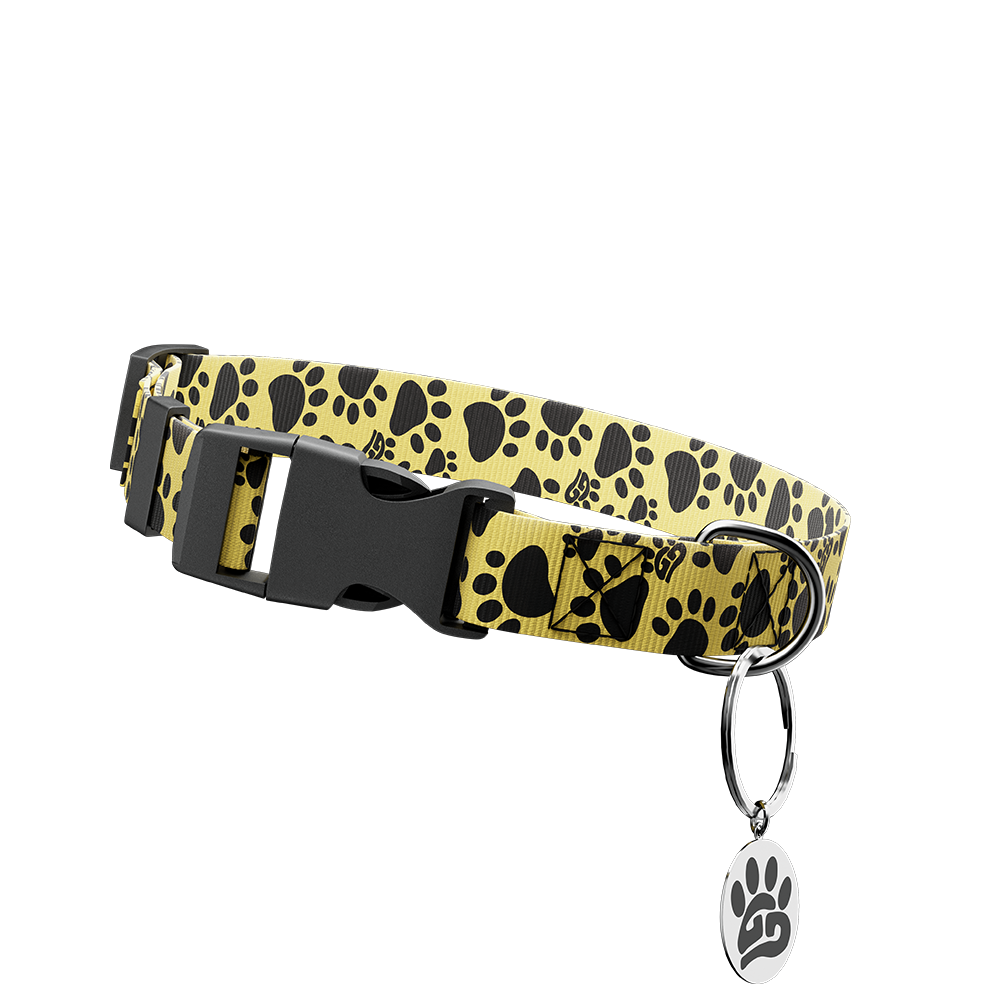 Woof: Dog Leash & Collar - Image 3