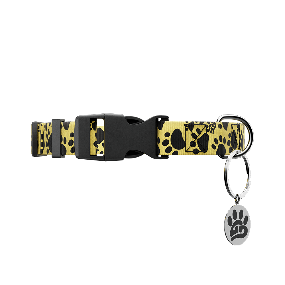 Woof: Dog Leash & Collar - Image 4