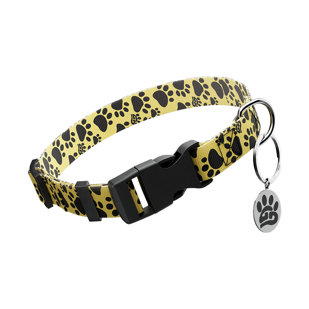 Woof: Dog Leash & Collar - Image 5
