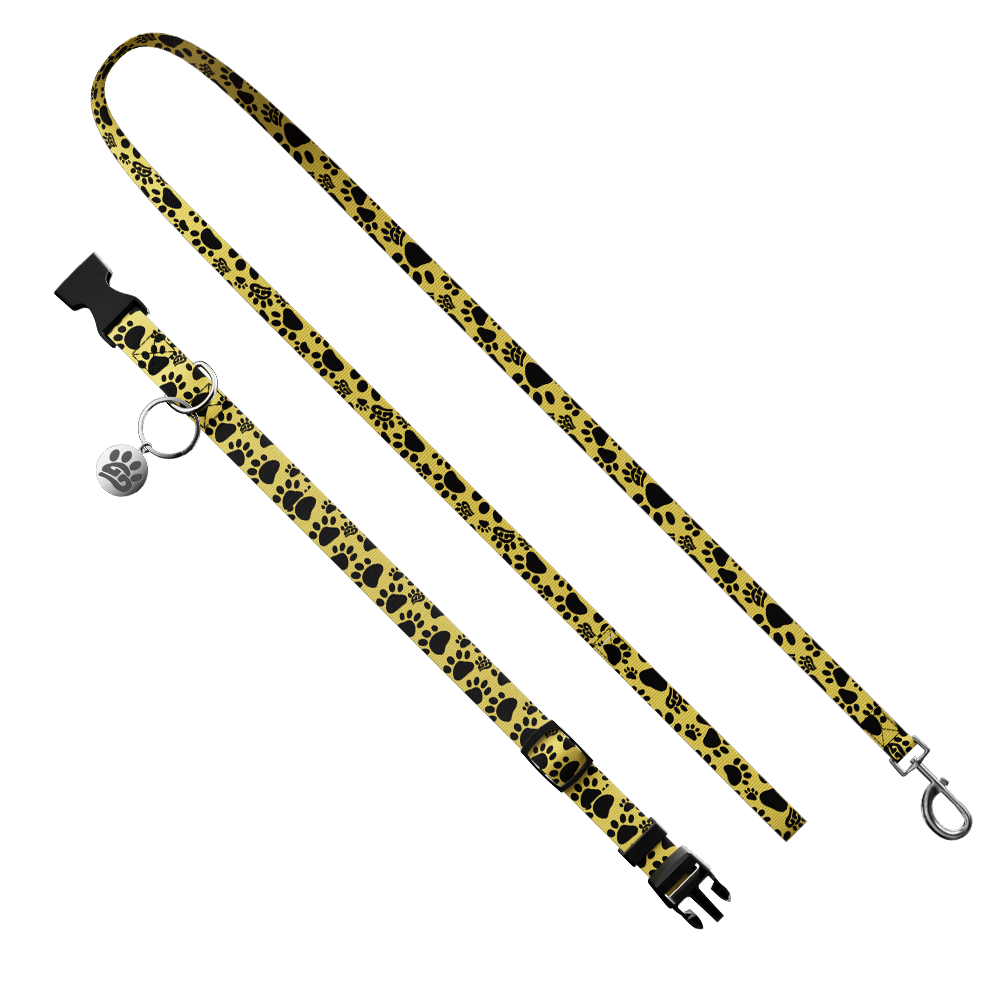 Woof: Dog Leash & Collar - Image 2