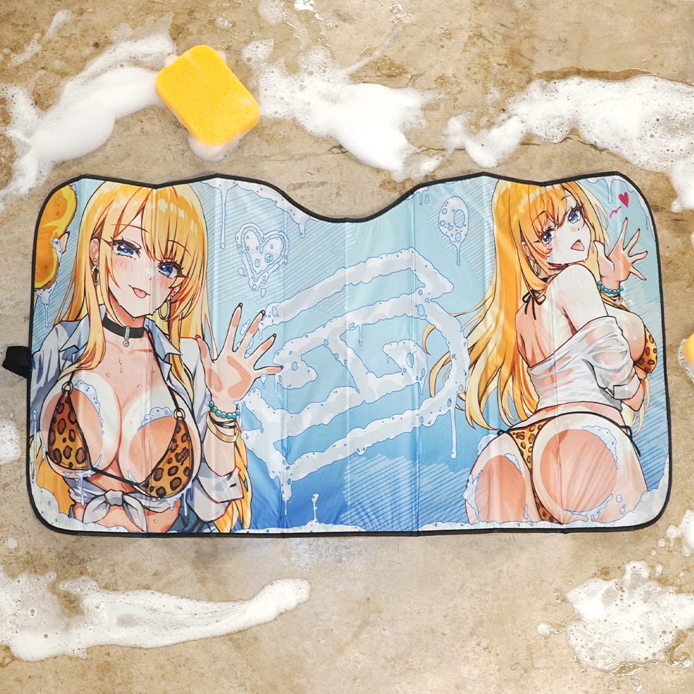 Daisy Detailing: Car Sunshade